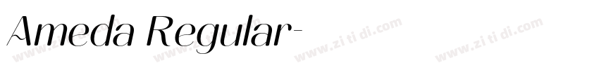 Ameda Regular字体转换